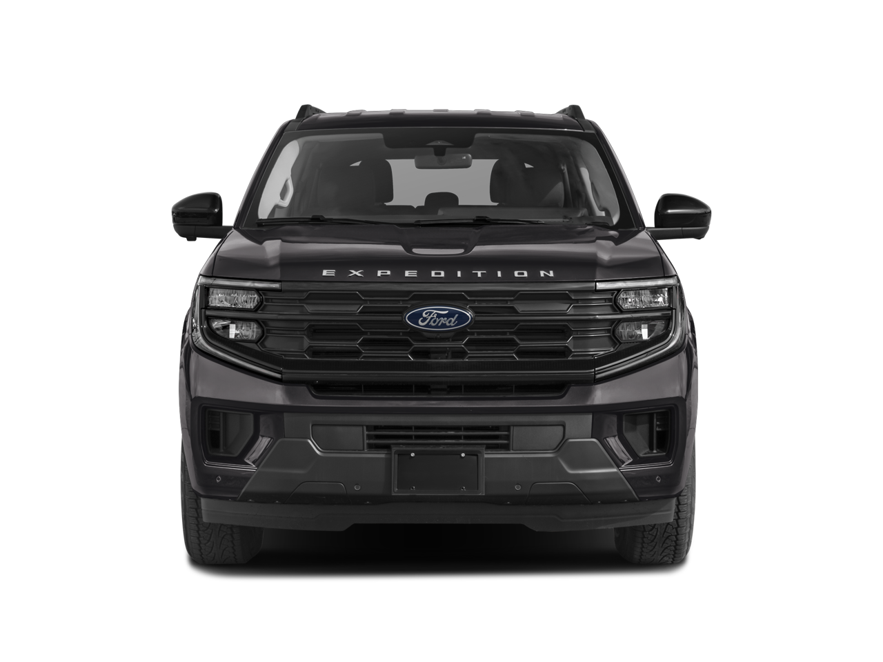 2025 Ford Expedition Active MAX