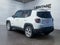 2019 Jeep Renegade Limited 4x4