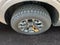 2025 Ford Maverick Tremor